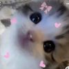 bematcha_
