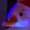 goose29012