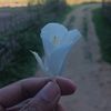 fahim_906_