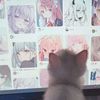 kittmx1
