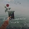 user7015537655958