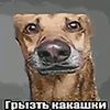 __22862