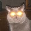 userm4pxie6wfg