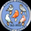 aviariodeldado1