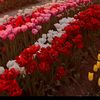kenzhe3936