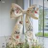 dana_ahmed005