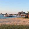 fayrouzahmed2278