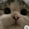 1rvbyq