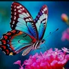 gisa.cassil