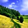 driss.ben.driss6