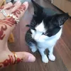 usernamenotfoundty