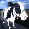robertrenaud421