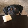 doglover6019