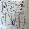 meio.eco.br
