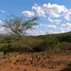 adeildojose305