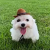 fluffythefish1