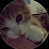 whiskasees