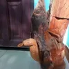 thanhnguyenba581