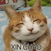 qmingohaiphong06