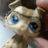 ohio_lps_acc