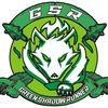 greenshadowrunner