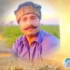 shaukat.ali.jut
