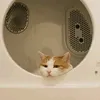 zahraamu25