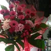 sumarni25329