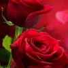 user1760746131743