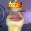 sethmedina5