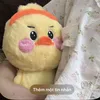 ng_lin11