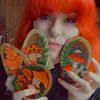 swallowtailed_arts