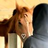 assoumasouma114