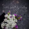 dy6wqiczjfi7