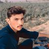 shahnawazrajper42