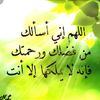 userza35yb5btu