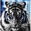 whlte_tiger