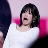 monties_06