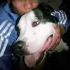 mi_lo83