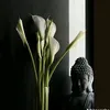 baotrang036