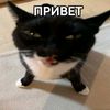 chaosmaster146