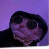 spy_uni24