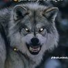 yousef.hafez05