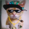 el.tilin_insano