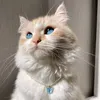 user812042081101
