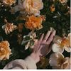 s_soma88