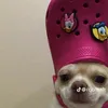 bmshakala