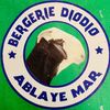 ndiaga_ladoum