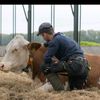 boerwes