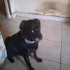 messinamanuela1